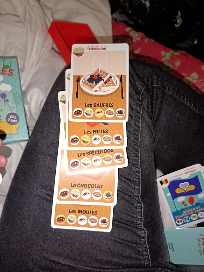 Jeu de 7 familles special Belgique - photo numéro 9