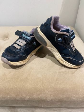 Basket reine des neige