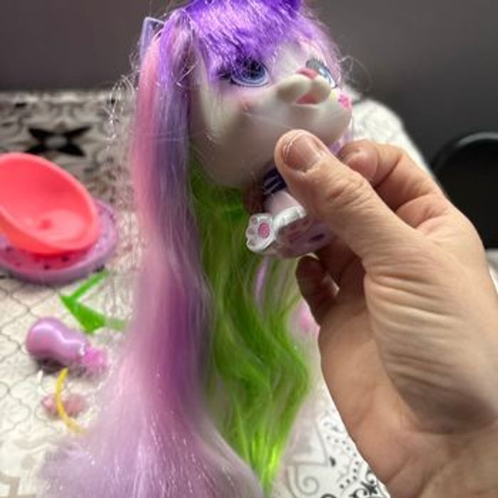 Vip pets - photo numéro 3