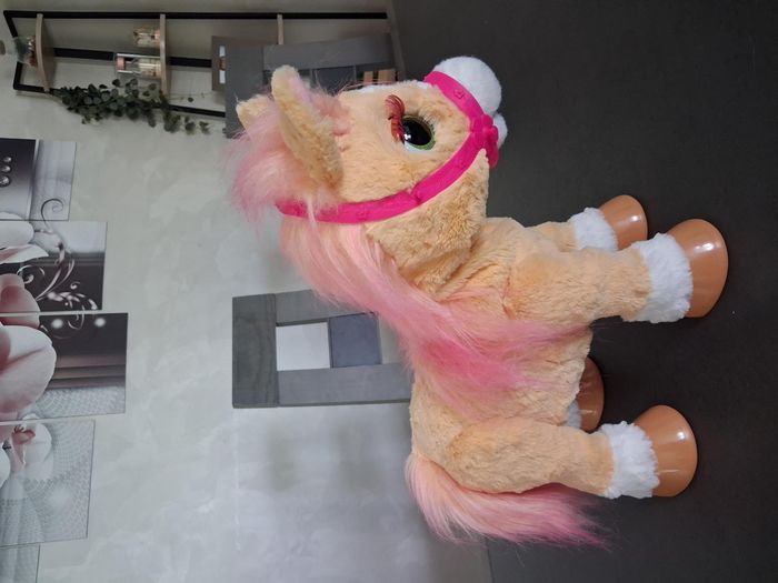 Cannelle mon poney coquet et ses accessoires - photo numéro 8