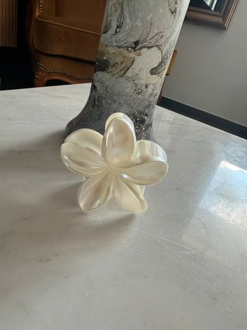 Pince à cheveux fleurs