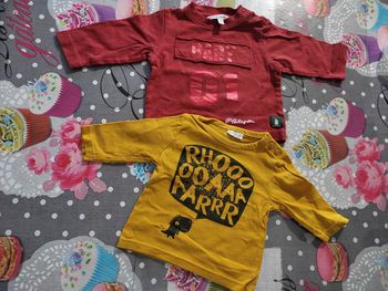 Lot tee shirt manche longue 1 mois