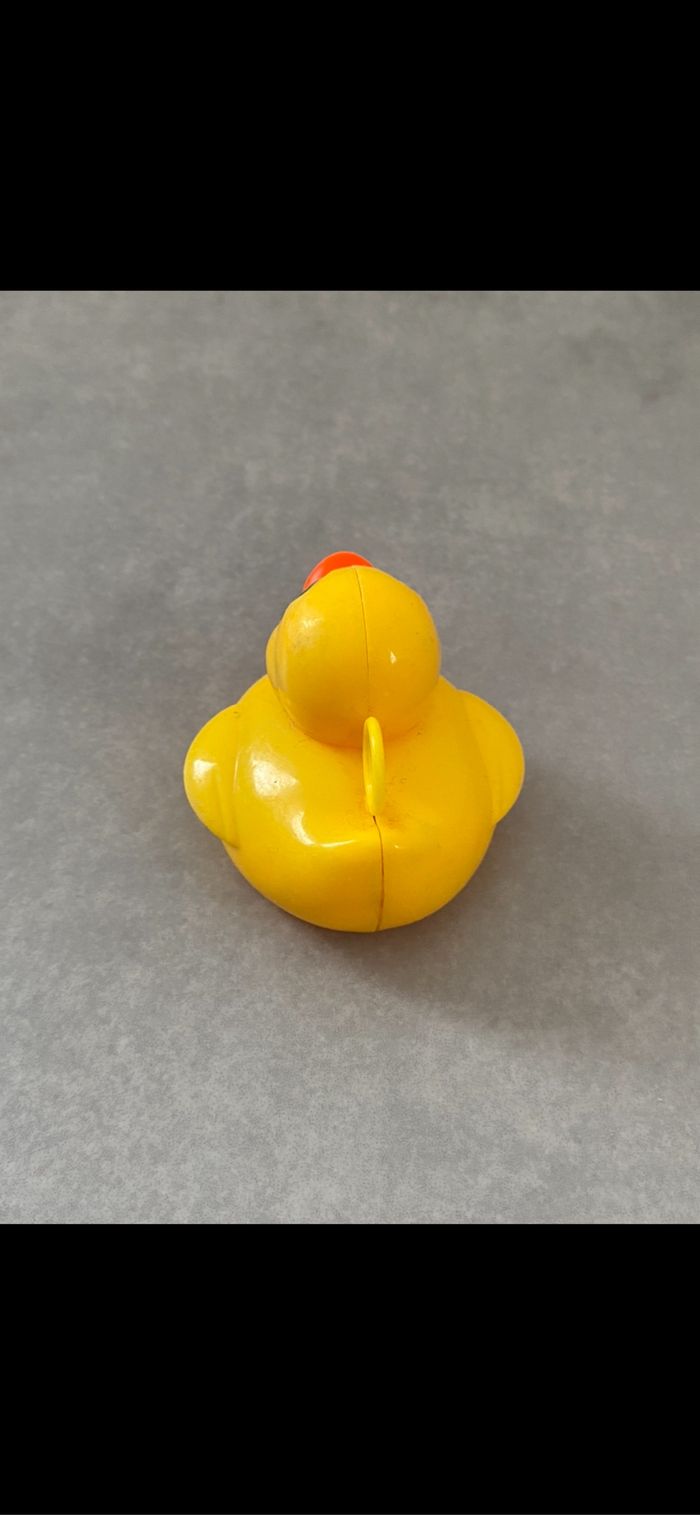 Canard pêche au canard - photo numéro 3