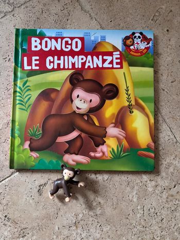 Livre et sa figurine