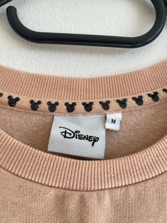 Pull Disney rose