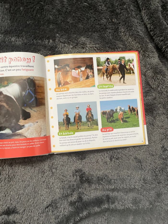 Mon copain le poney livre - photo numéro 5