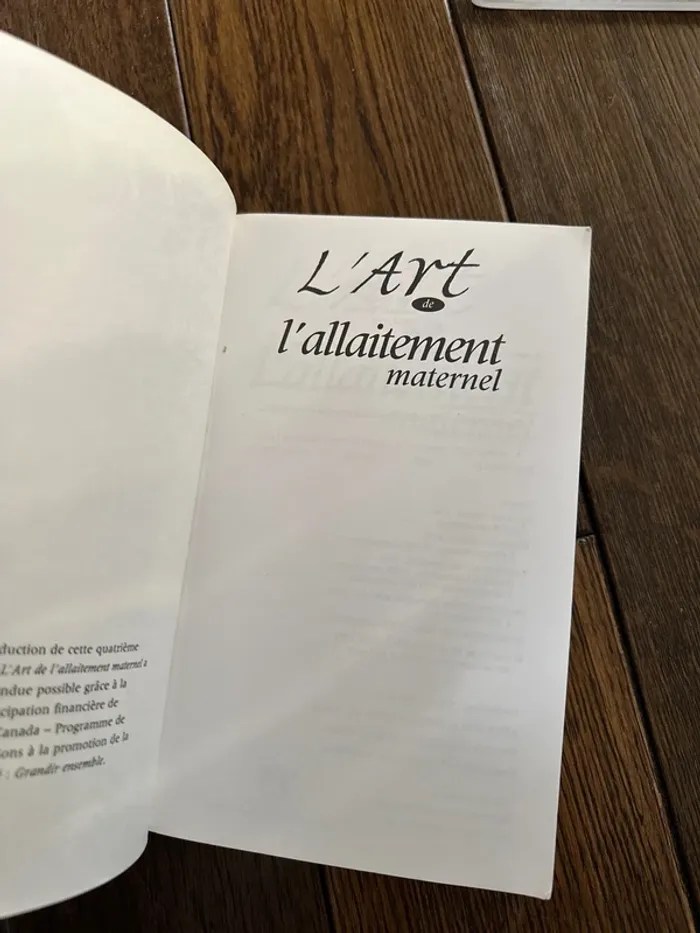 L’art de l’allaitement maternel - photo numéro 5
