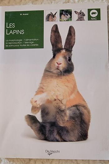 Livre Les lapins