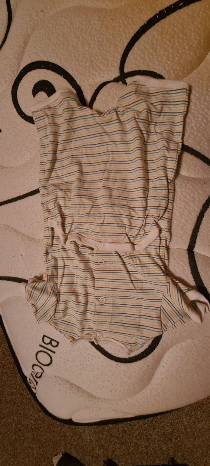 Grenouillère été - photo numéro 3