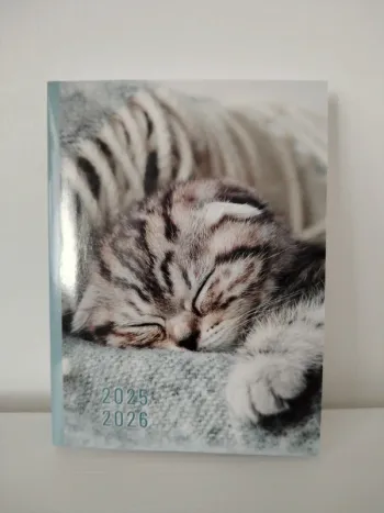 Agenda 2025/2026 chaton