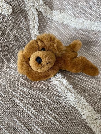 Peluche doudou 15cm caci chien teckel marron parfait état