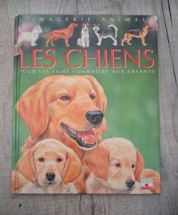 4 grande imagerie - photo numéro 4