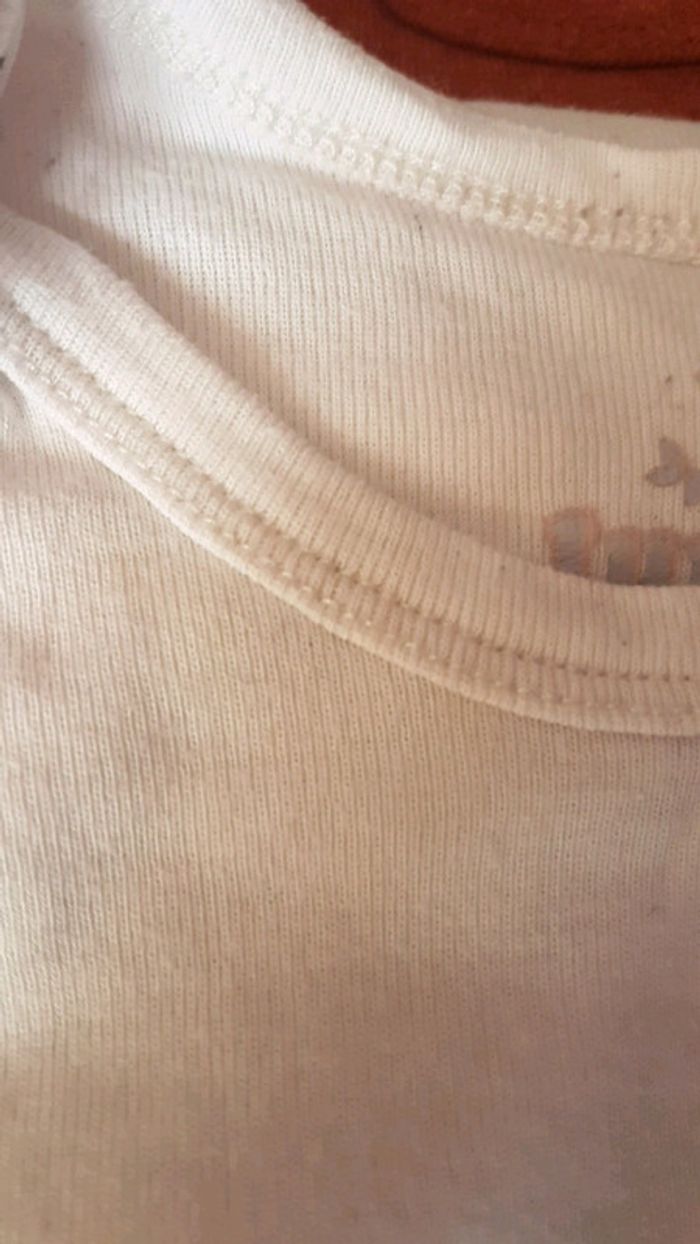 Lot de bodies 9/12 mois - photo numéro 2