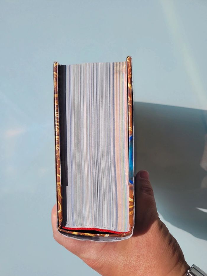 Geronimo Stilton : Très gros livre Chevalier au Royaume de la Fantaisie 🛡 (48) - photo numéro 17