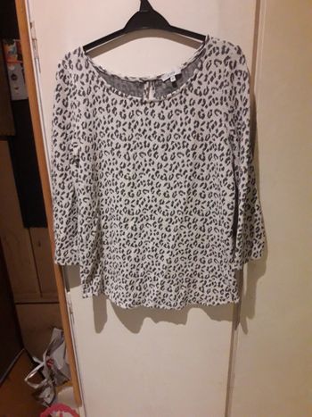 Tunique brillante phildar M