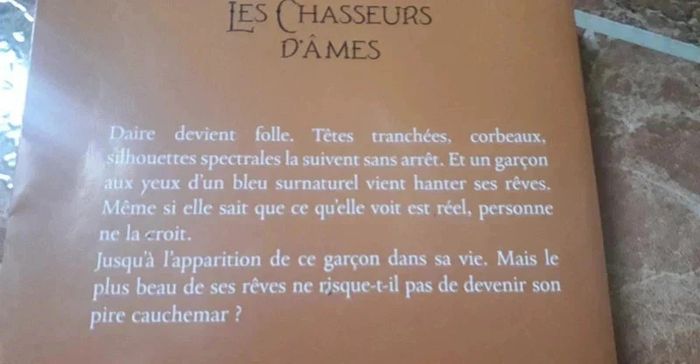Livre / Les chasseurs d'âmes / Tome 1: destinés / Alyson noël. - photo numéro 3