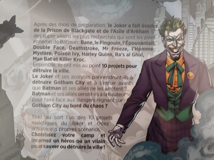 Batman - Le sauveur de Gotham City - photo numéro 3