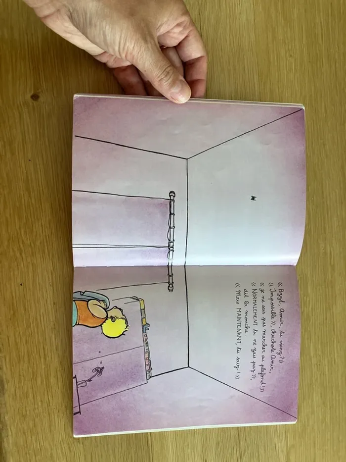 Livre mouche - photo numéro 3