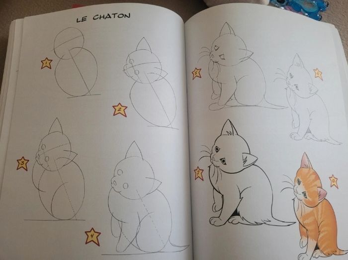 Livre "Je dessine des animaux" de Thierry Beaudenon - photo numéro 2