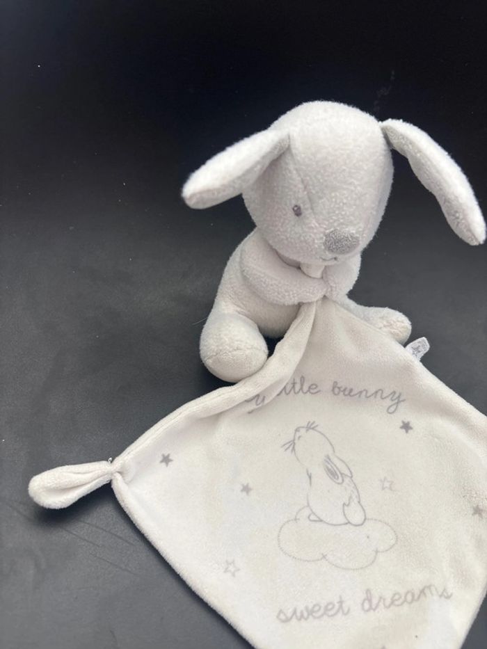 Doudou lapin - photo numéro 3