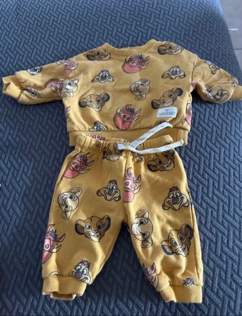 Ensemble simba