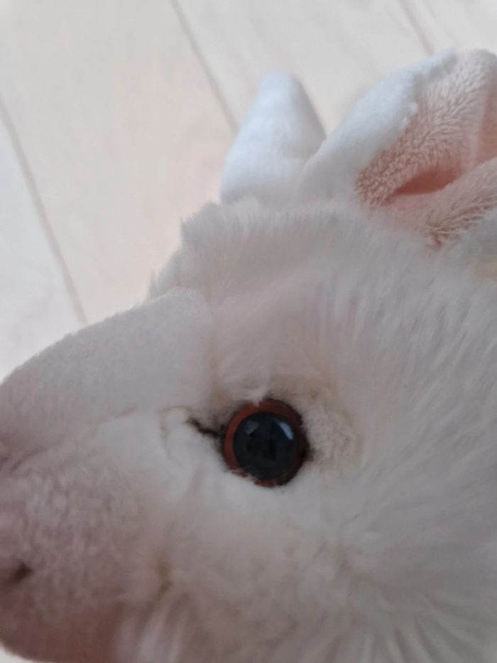 Peluche lapin plus et company - photo numéro 6