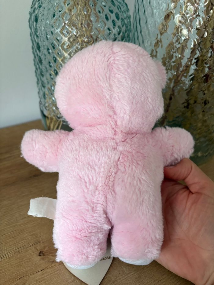 Ours Boulgom - photo numéro 5