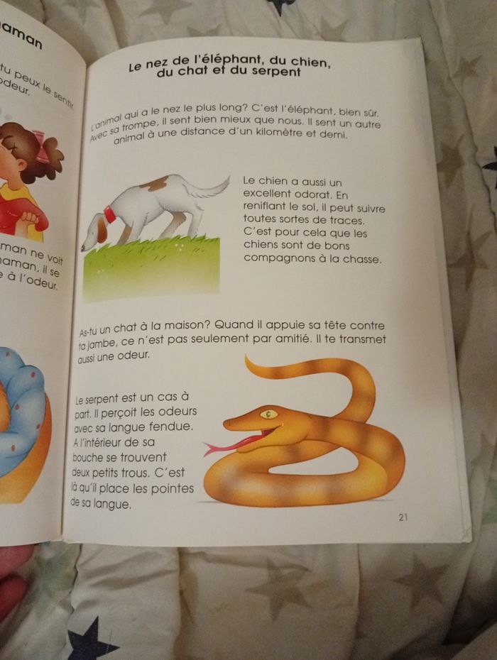 Livre " Les 5 sens ... Dessus dessous" - photo numéro 4