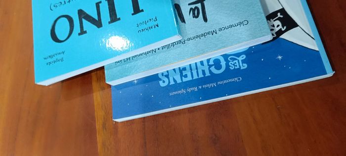 Lot de 3 livres école des loisirs - photo numéro 3