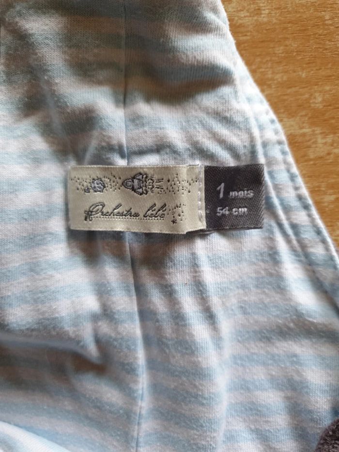 Ensemble 1 mois Orchestra - photo numéro 9