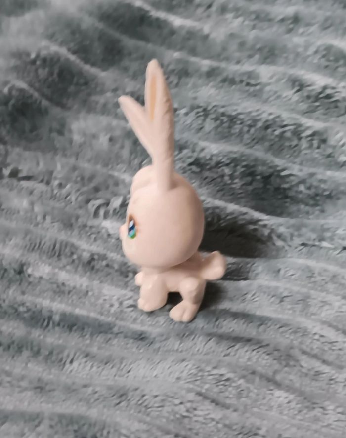 Petshop lapin 3 - photo numéro 3