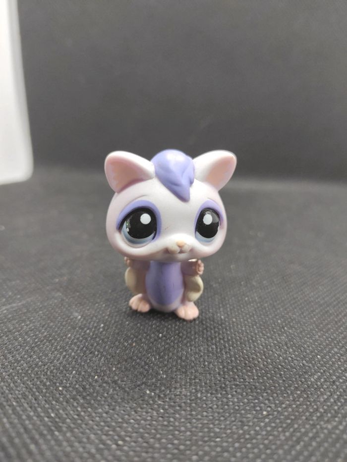 Little Petshop LPS phalanger volant 1663 Suger glider #geektradelpsphalanger