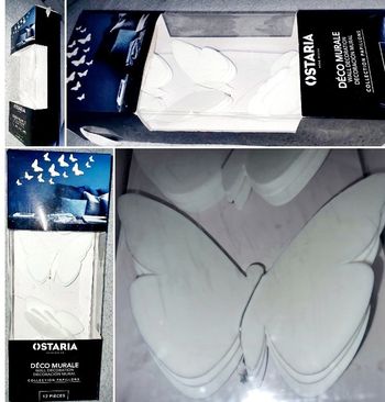 décoration chambre Papillon