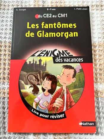 Livre ,, Les fantômes des Glamorgan’’