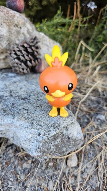 Super figurine Pokemon Nintendo Poussifeu