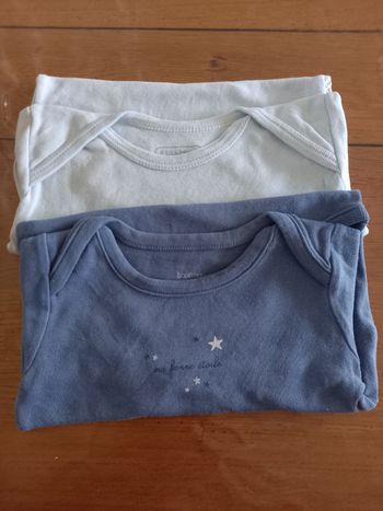 Lot 2 bodies ML