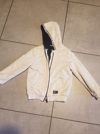 Veste a capuche molletonnee