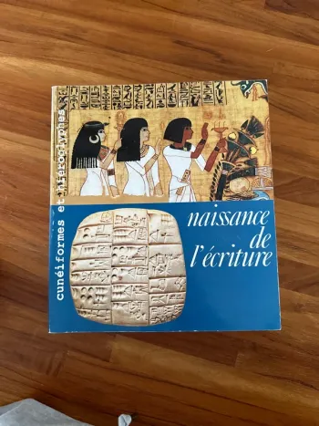Livre naissance de l’écriture