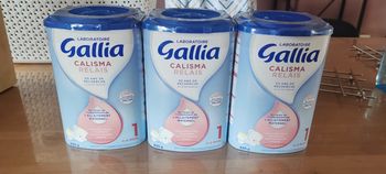 Gallia calisma relais 1er age