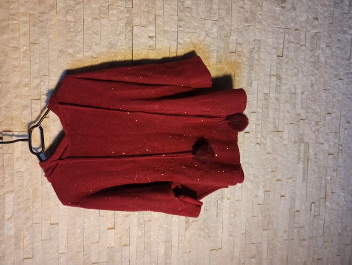Pull à Capuche Bordeaux avec Strass Femme Taille L