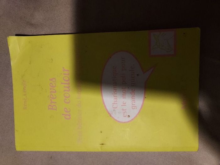 Livre brèves de couloirs