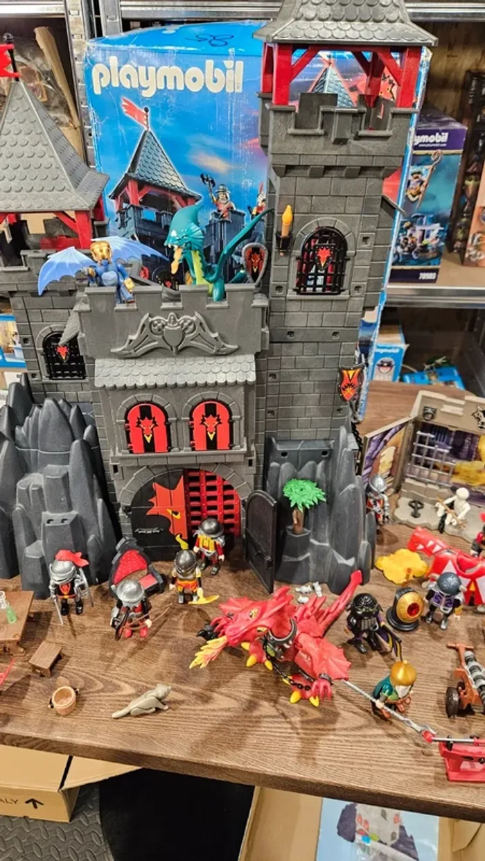 Lot chevaliers playmobil