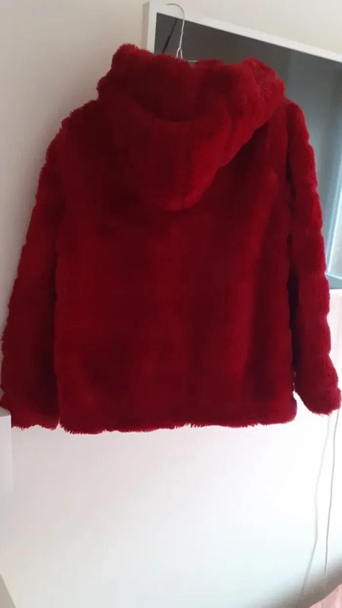 Manteau en fourrure rouge - photo numéro 7