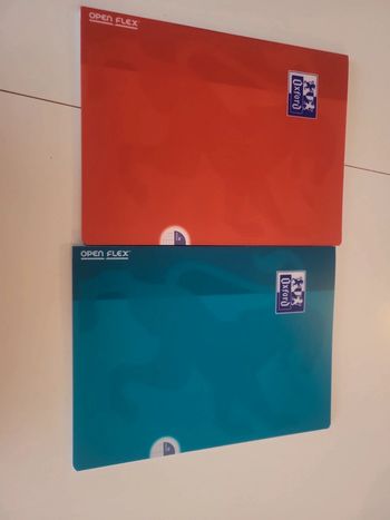 2 cahiers oxford open flex 24x32