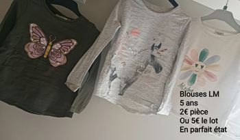 Blouses LM