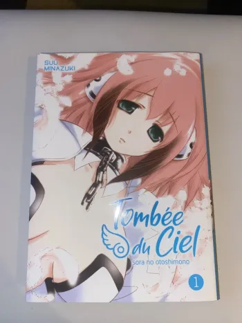 Tombée du ciel