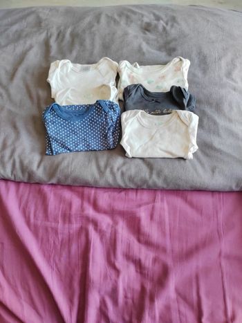 Lot bodys ML