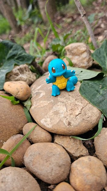 Super figurine Pokemon Nintendo tomy C.G.T.S.J carapuce