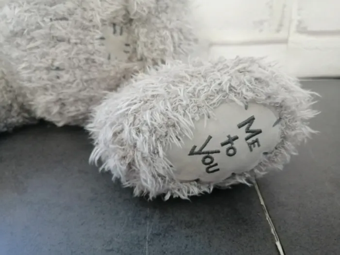 Adorable peluche me to you - photo numéro 4