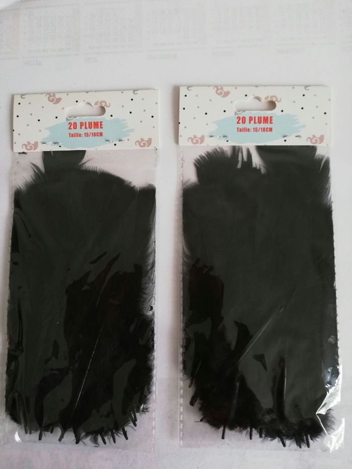 40 plumes noires